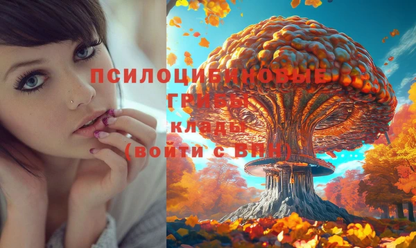 хмурый Няндома