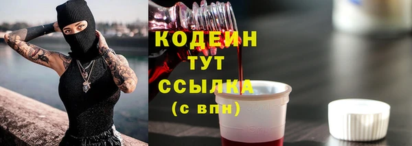 mdpv Богородицк
