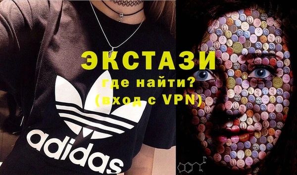 твердый Богданович
