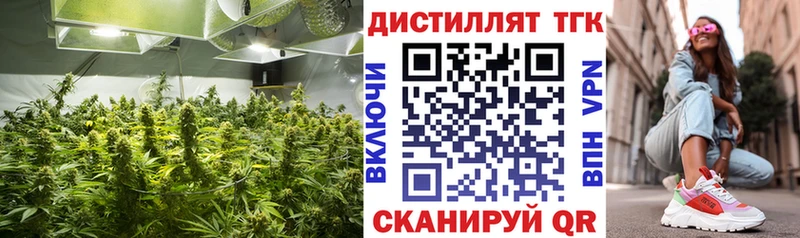 сайты даркнета состав  Мирный  ТГК THC oil 